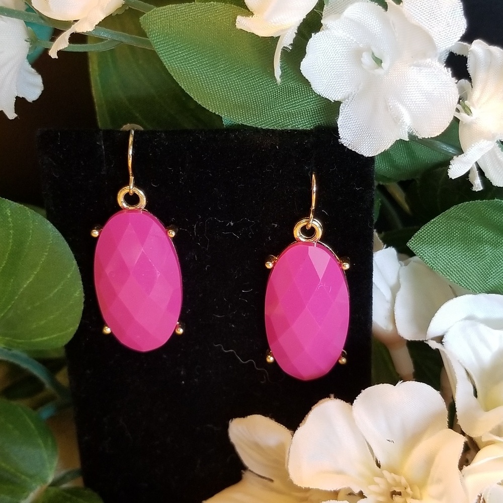 Hot Pink and Gold Earring Set  #117